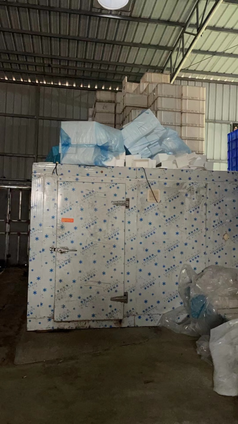 竹虫产地一手货源价格美丽全国可发品质保障欢迎咨询
