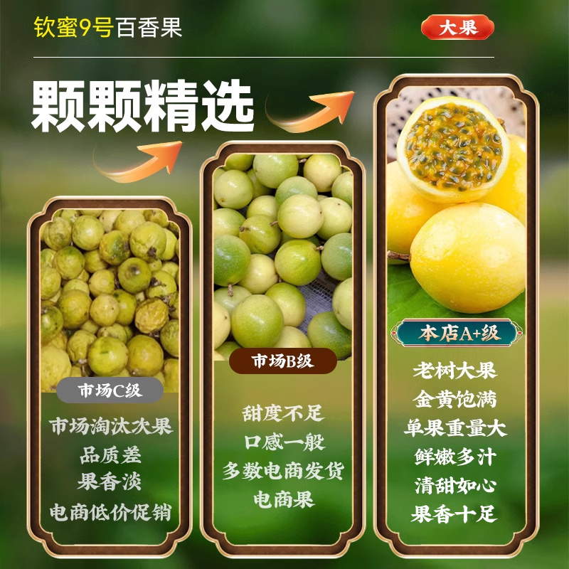 【2斤】广西钦蜜9号黄金百香果新鲜包邮