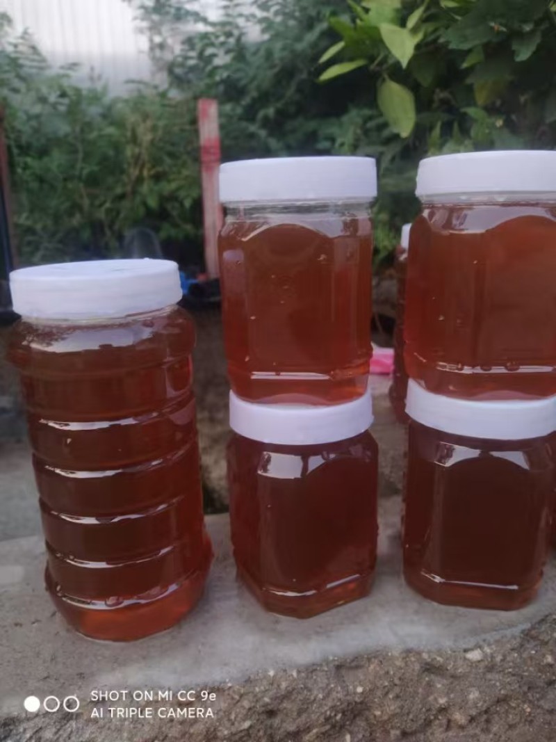 推荐蜂蜜荆条蜜自家养殖常年有货保质保量