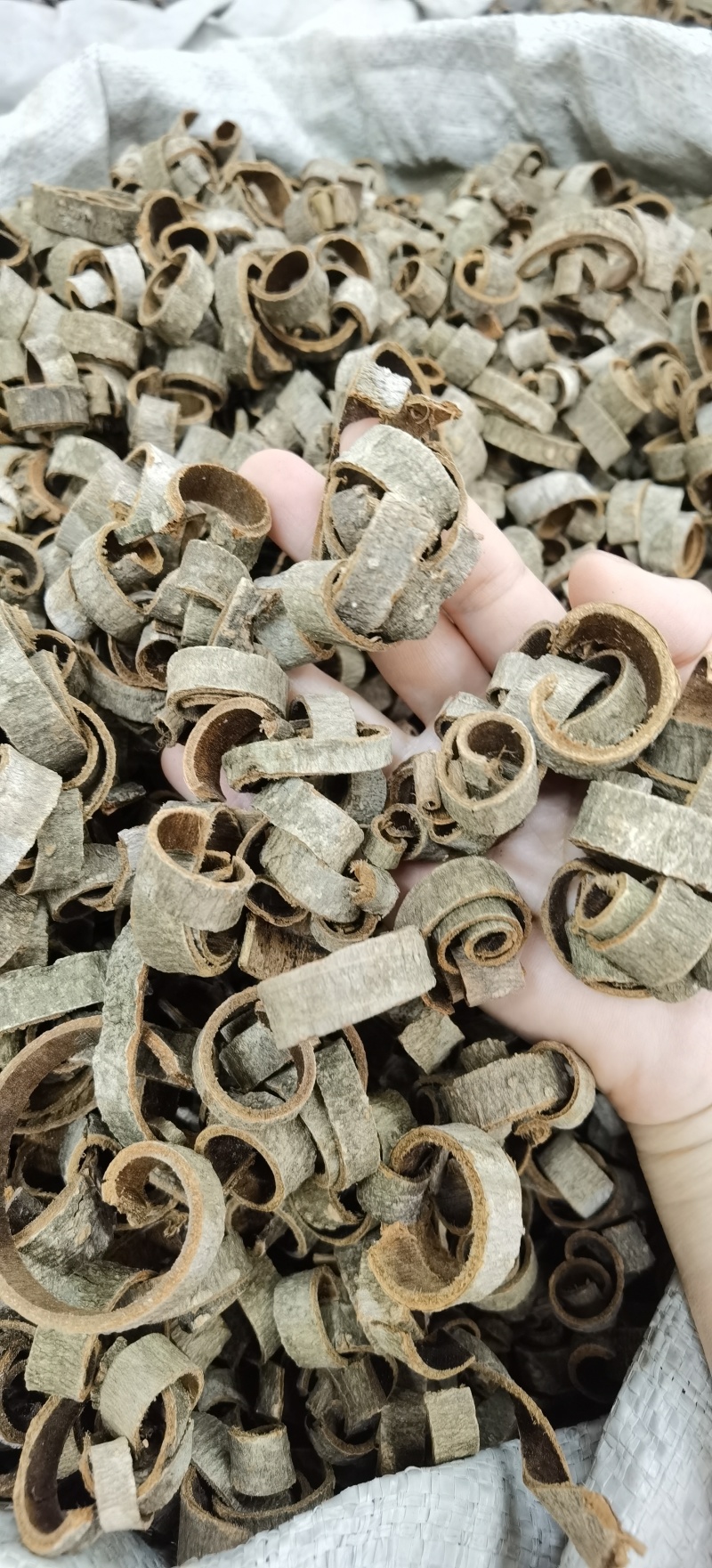厚朴各规格有货一手货源量大价优可供实体店及批发零售