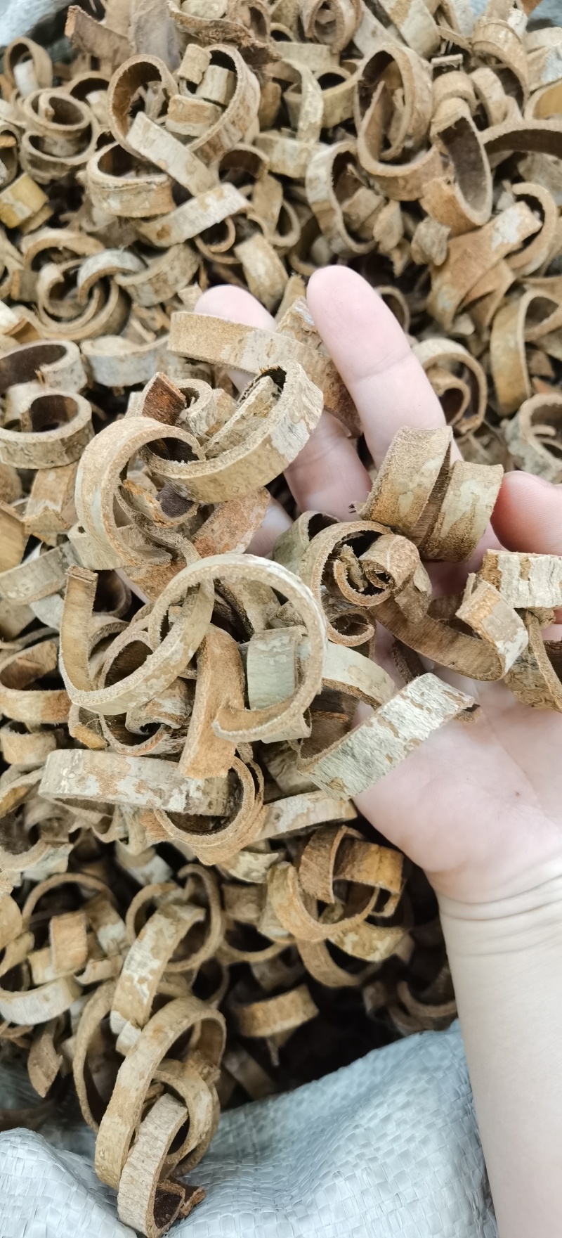 厚朴各规格有货一手货源量大价优可供实体店及批发零售