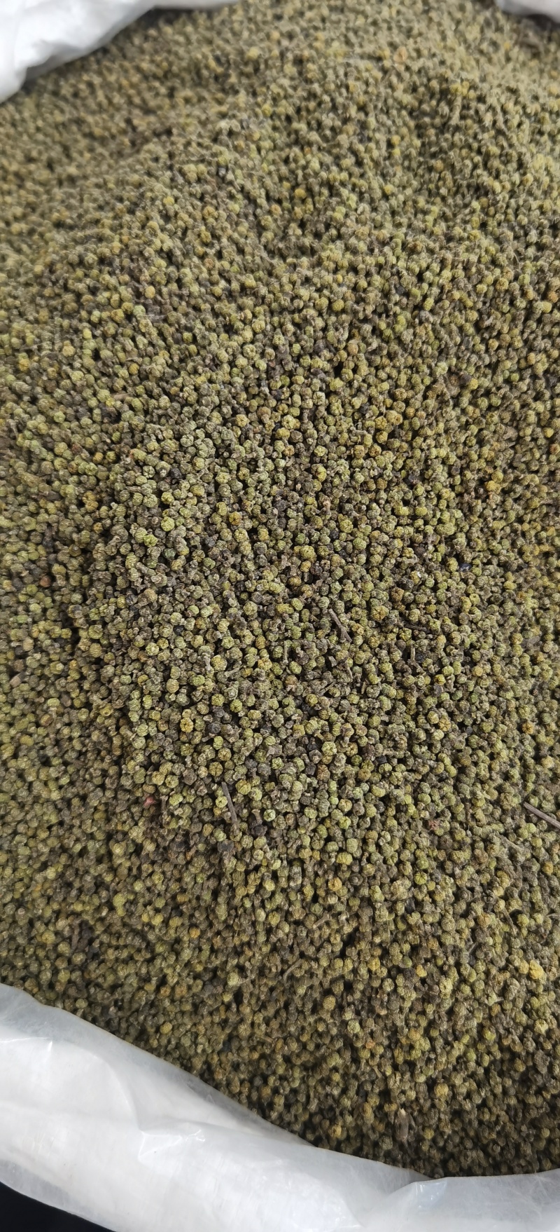批发吴茱萸现货可长期供实体批发零售一手货源厂家货