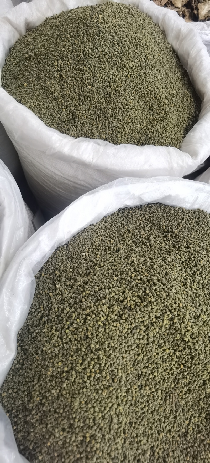 批发吴茱萸现货可长期供实体批发零售一手货源厂家货