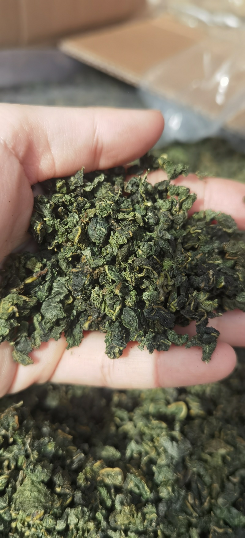 桑叶茶批发产地一手货源量大价优可供实体店批发零售