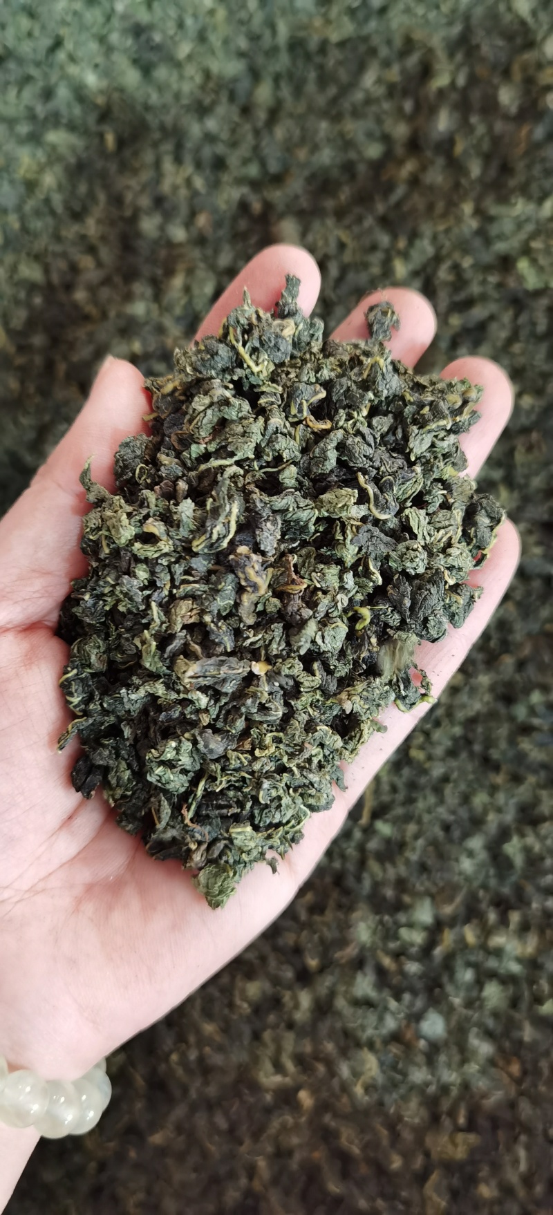 桑叶茶批发产地一手货源量大价优可供实体店批发零售
