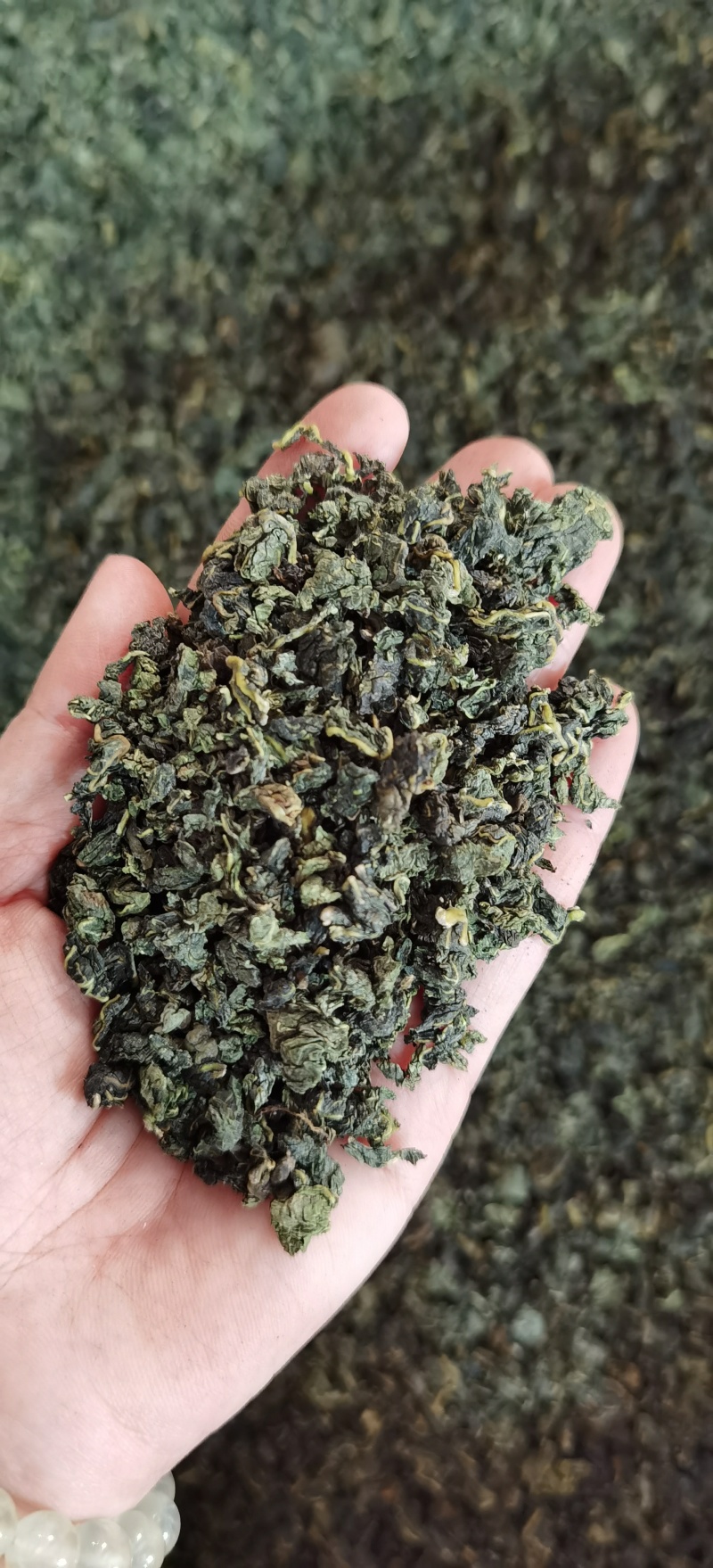 桑叶茶批发产地一手货源量大价优可供实体店批发零售