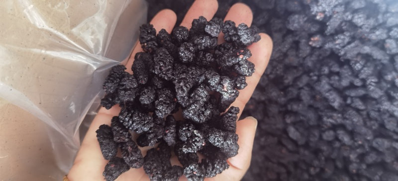桑葚干批发桑森干一手货源量大价优对接实体批发零售