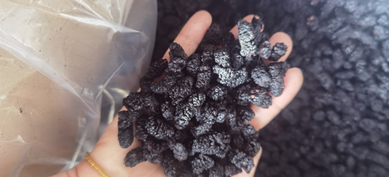 桑葚干批发桑森干一手货源量大价优对接实体批发零售