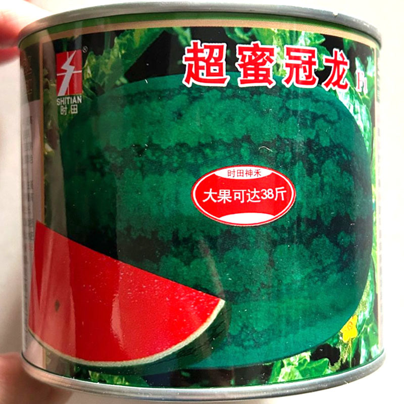 超蜜冠龙西瓜种子抗病抗重茬大红瓤甜脆多汁耐贮运
