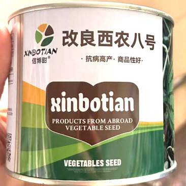 改良西农八号西瓜种子抗病中熟大果型红瓤脆甜多汁