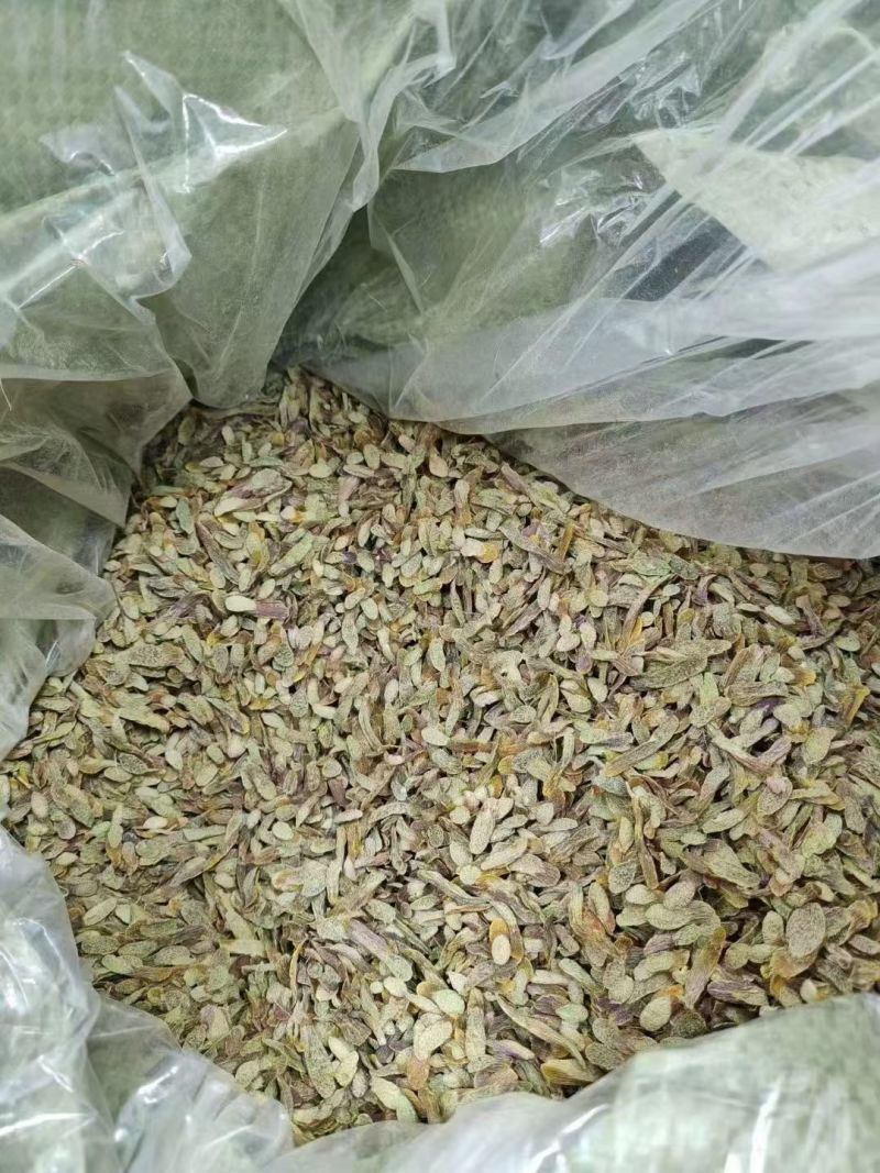 铁皮石斛片云南铁皮石斛片石斛切片铁皮石斛片大货批发