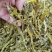 珍虫石斛珍虫石斛条珍虫石斛枫斗大货批发