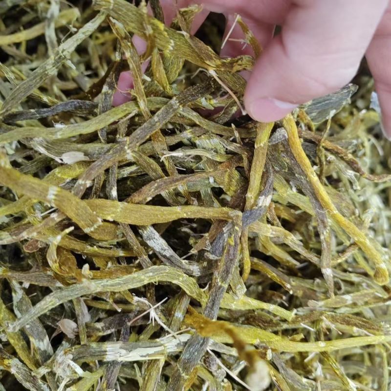 珍虫石斛珍虫石斛条珍虫石斛枫斗大货批发