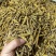 虎牙石斛石斛云南虎牙石斛大货批发