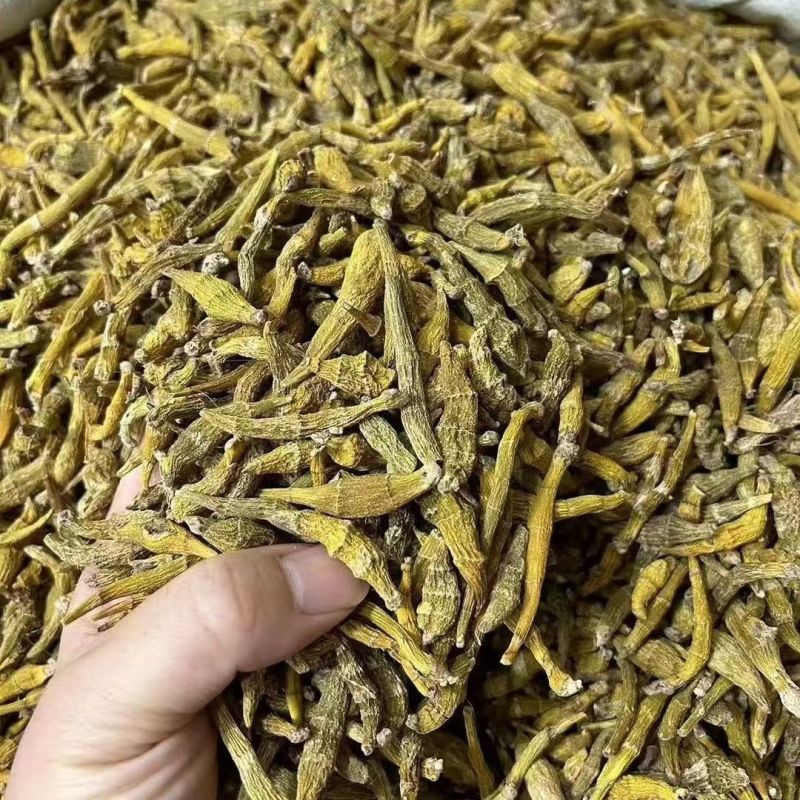 虎牙石斛石斛云南虎牙石斛大货批发