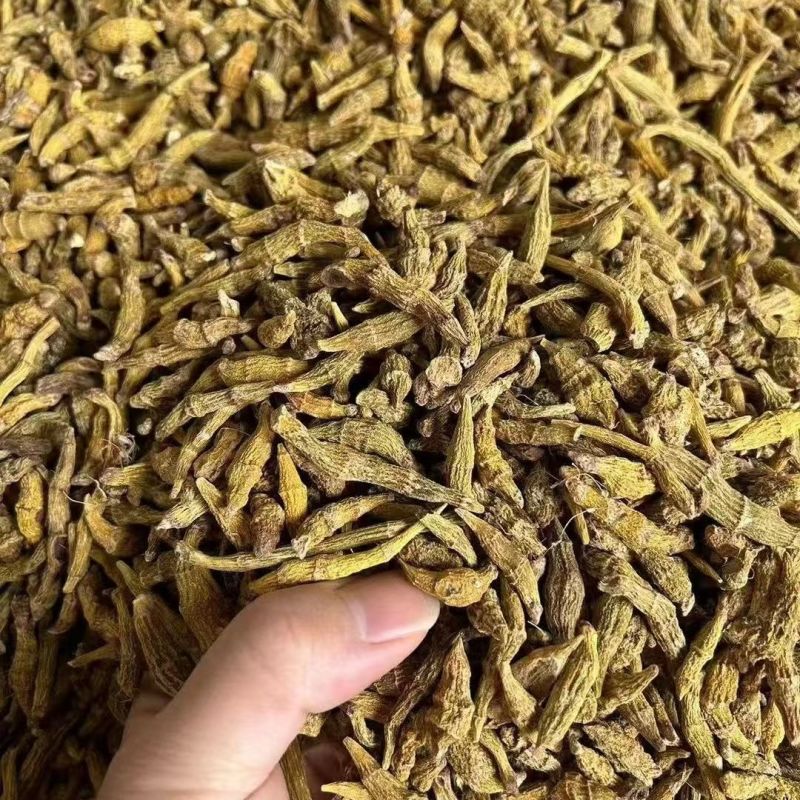 虎牙石斛石斛云南虎牙石斛大货批发