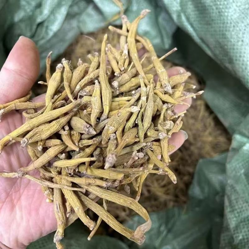 虎牙石斛石斛云南虎牙石斛大货批发