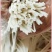 [云南特色·空心米线]水美缐柔滑香糯美食汇