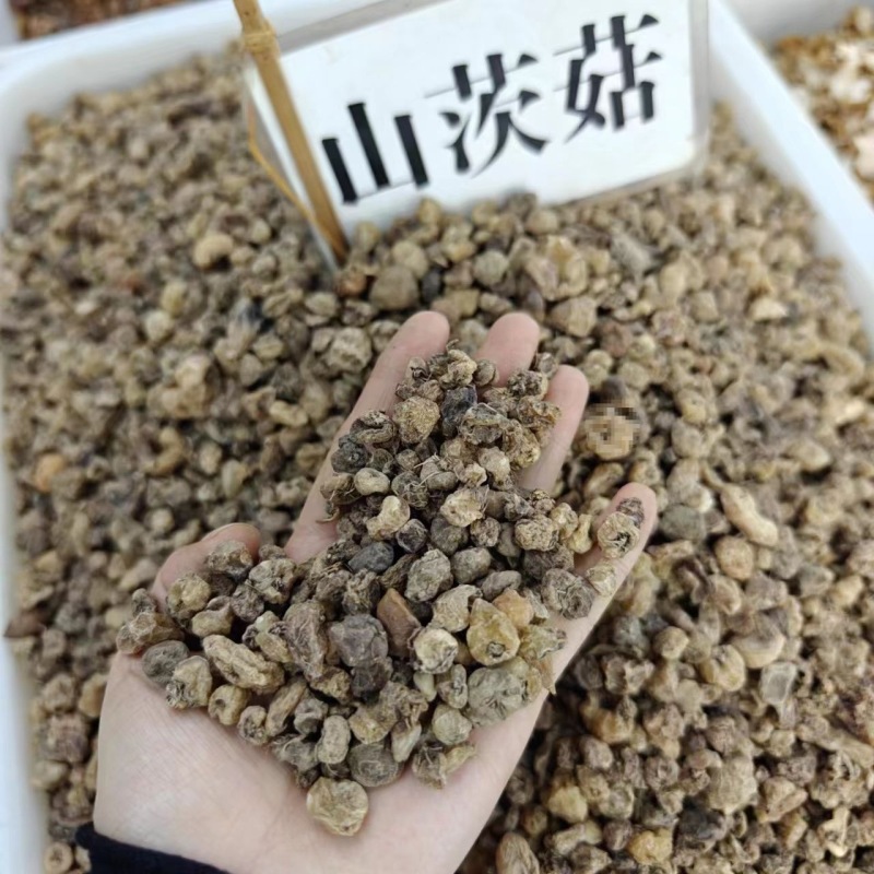 山慈菇云南野生材山慈菇茅毛慈菇山茨姑冰球子新货无