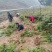 方竹方竹苗2年方竹苗基地直发提供技术欢迎咨询