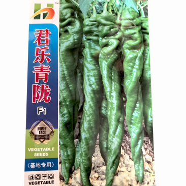 陇椒种子螺丝椒皱皮挂果多辣椒种子大果基地品种