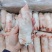 纯干小猪蹄20斤，35根左右