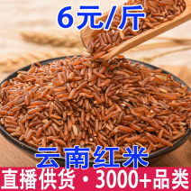 红米云南红米红稻米自有工厂大货批发