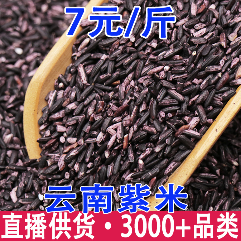 紫米云南紫米紫糯米黑米自己工厂大货批发