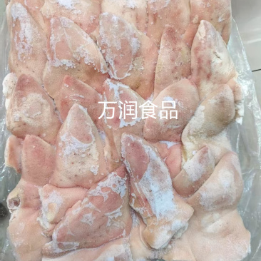 纯干下嘴尖20斤，下巴尖，猪下嘴