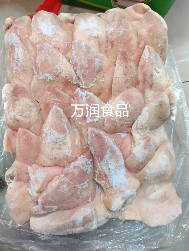 纯干下嘴尖20斤，下巴尖，猪下嘴
