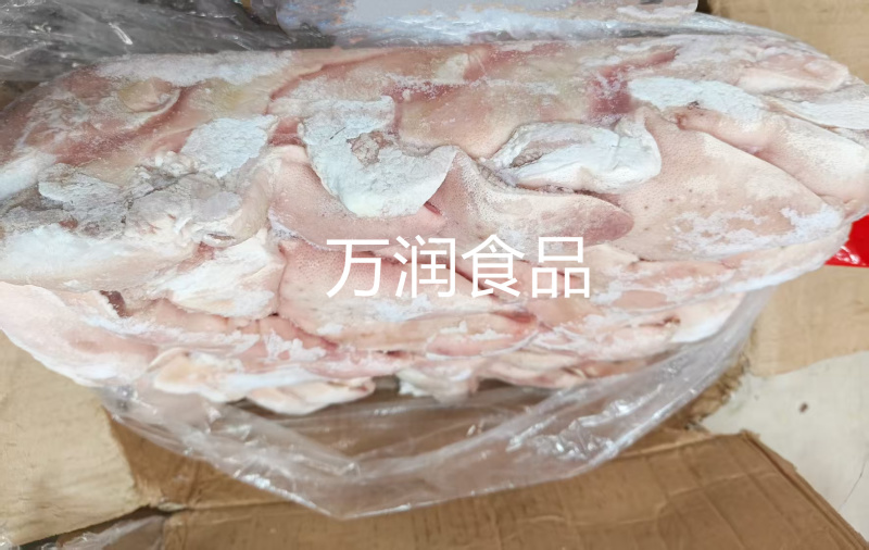 纯干下嘴尖20斤，下巴尖，猪下嘴