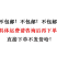 纯干下嘴尖20斤，下巴尖，猪下嘴