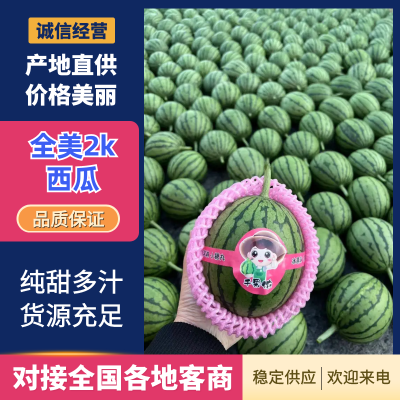 【牛商推荐】2K小西瓜2K小吊瓜小糖丸牛奶小爆瓜产地直