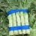 优质青皮莴苣大量供应品质保证诚信经营