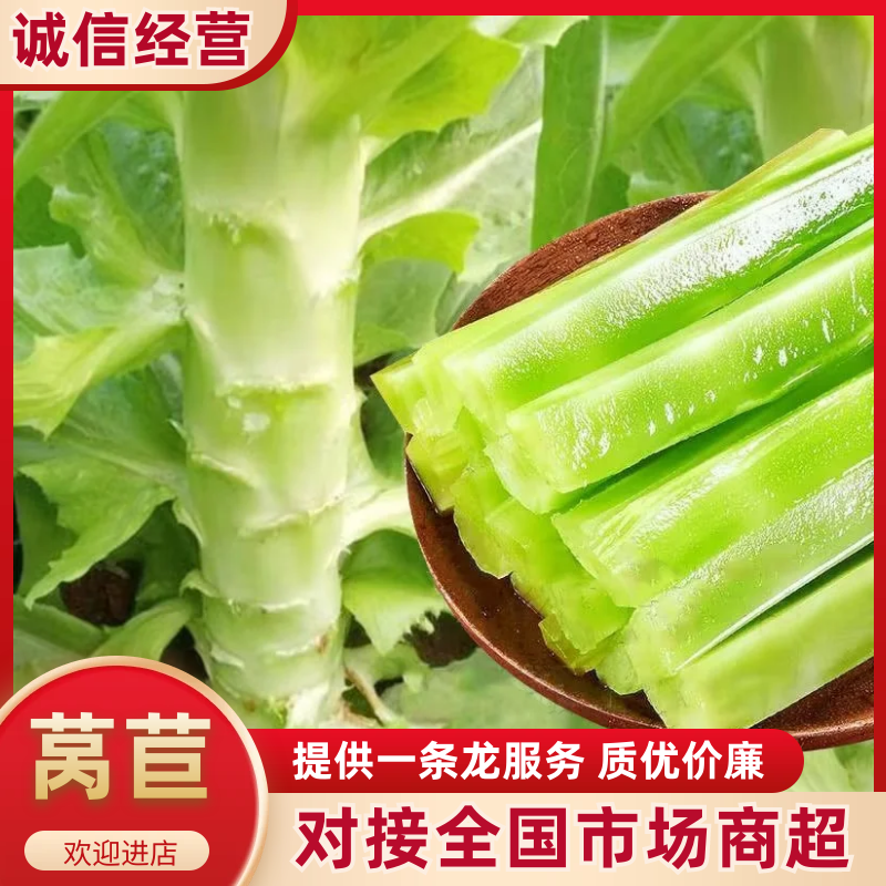 优质青皮莴苣大量供应品质保证诚信经营