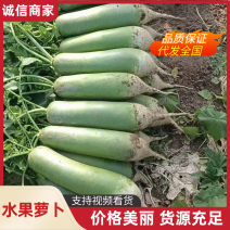 山东潍坊水果萝卜，天星希卡利青克力帝王青绿帅冰激凌冰糖芯