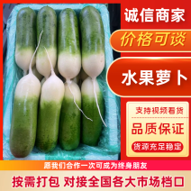 山东潍坊水果萝卜星田02冰糖芯凤梨冰激凌萝卜货源充足
