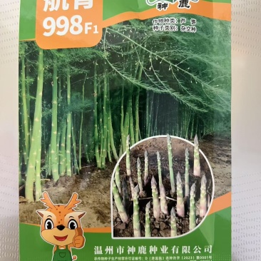 芦笋种子航育998厂家直发售后保障量大优惠品种纯正保真