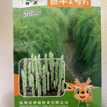 巨丰1号厂家直供提供技术指导售后保障全国发货保真