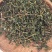 铁观音茶叶正味兰花香特级铁观音茶叶礼盒装500g包邮