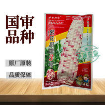 密花甜糯3号彩甜糯玉米种子国审大包装软糯香甜高产南北方