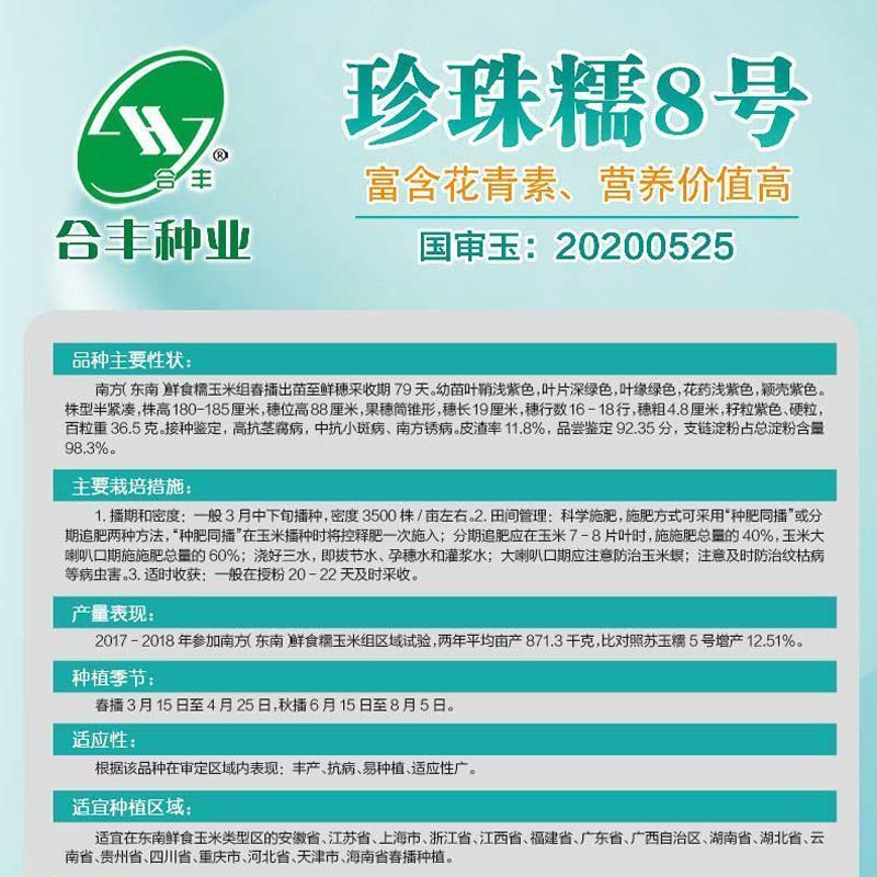 国审200克大包装珍珠糯8号黑甜糯玉米种子香甜软粘玉米种