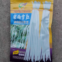 宏雨雪豇种子厚肉纯白豇豆种子双荚率高无鼠尾