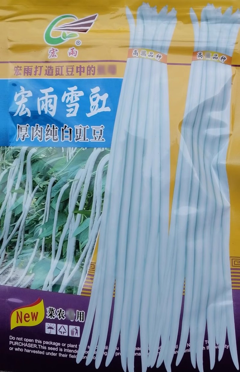 宏雨雪豇种子厚肉纯白豇豆种子双荚率高无鼠尾