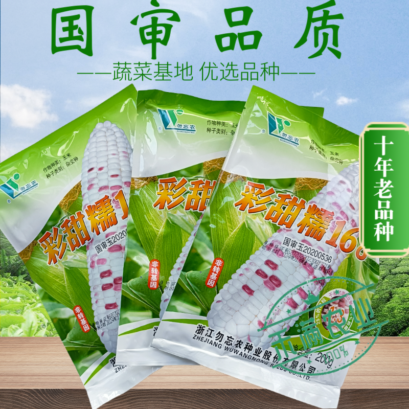 国审彩糯甜玉米种子高产玉米种子大玉米种非转基因超甜糯玉米