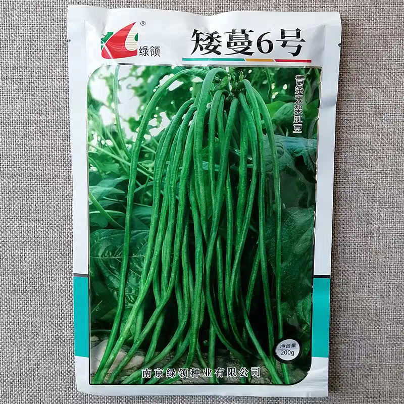 矮蔓6号青条无架豇豆种子早熟抗病不需要搭架