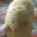 精品黄心土豆土豆，一手货源规格齐全，低价对接全国客商