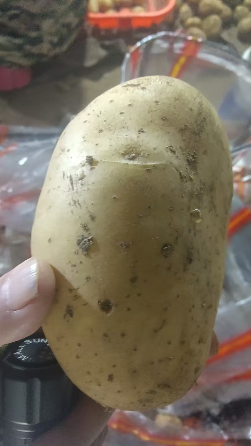 精品黄心土豆土豆，一手货源规格齐全，低价对接全国客商