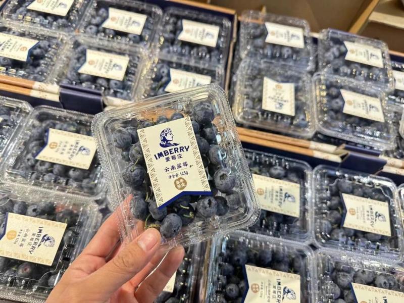 云南爱莓庄蓝莓一件代发产地直发一手货源对接各大电商平台