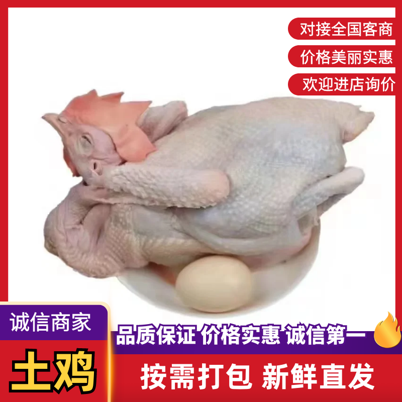 土鸡大量供应品质保证对接全国市场电商商超